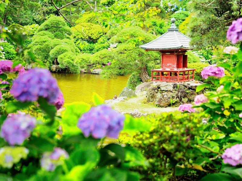 🌳 호와엔 정원(호와엔) 이미지 1